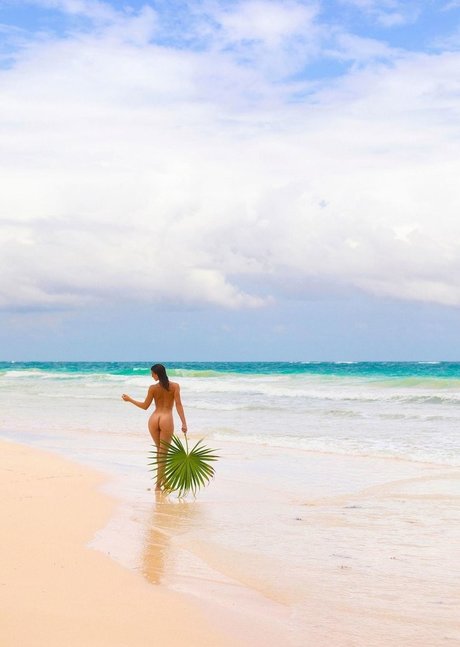 Stella Tiana Stegmann OnlyFans Bilder