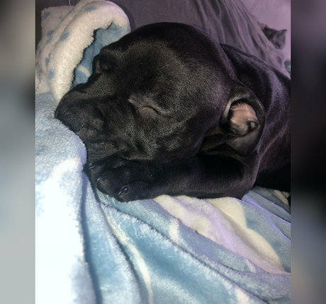 kyxxx OnlyFans-Inhalte