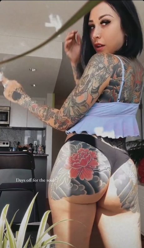 Bbpeytonleigh OnlyFans öffentliche Fotos OnlyFans