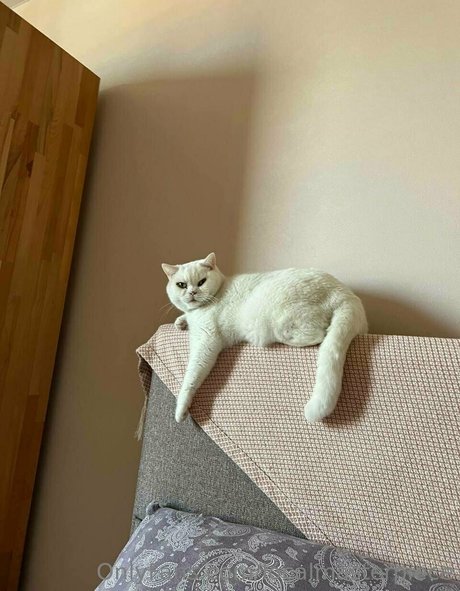 Localmasterpiece NSFW OnlyFans