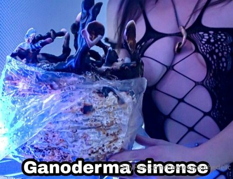 freesexypsychedelic Nacktbilder OnlyFans