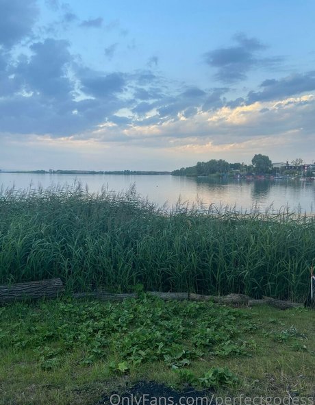 perfectgodess OnlyFans Leak