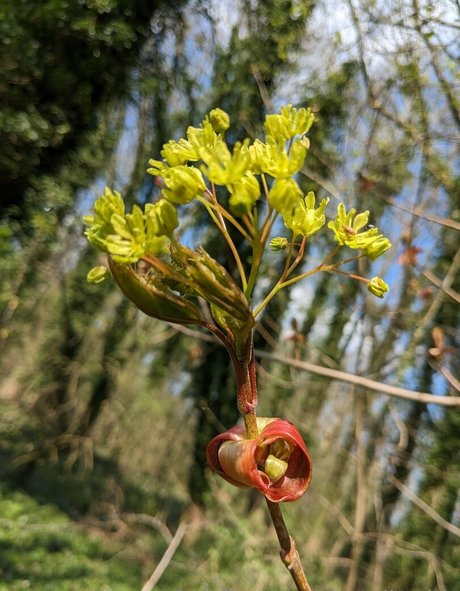 nataliewinz OnlyFans-Archiv