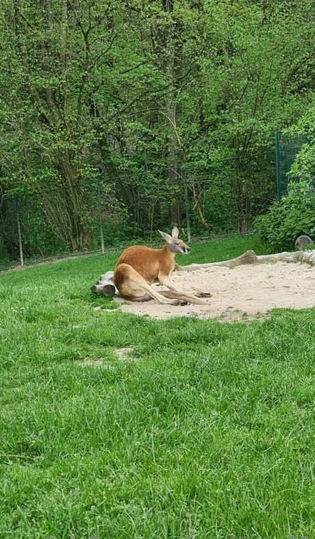 cocolinaa69 OnlyFans geleakte Brüste