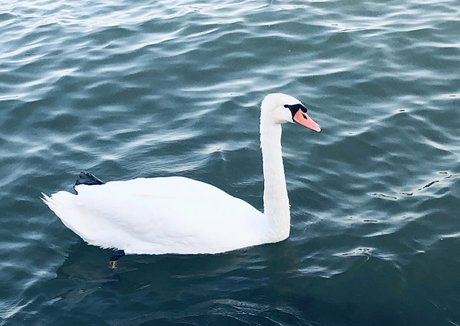 femdomyou Leaked OnlyFans