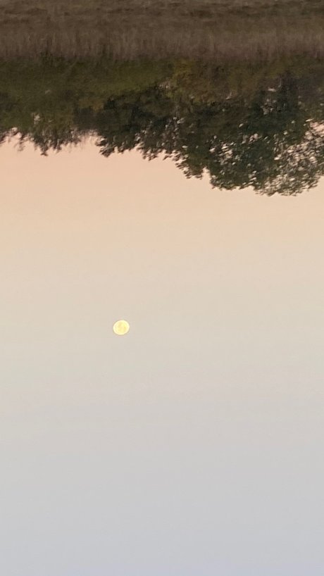 Giani Heiße OnlyFans Inhalte