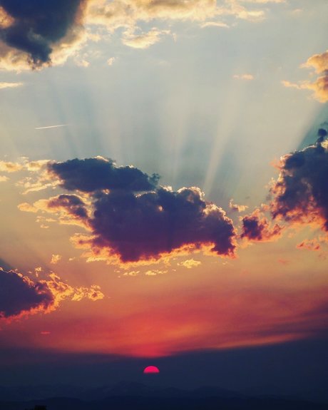 NO FACE NO TRACE XXX OnlyFans