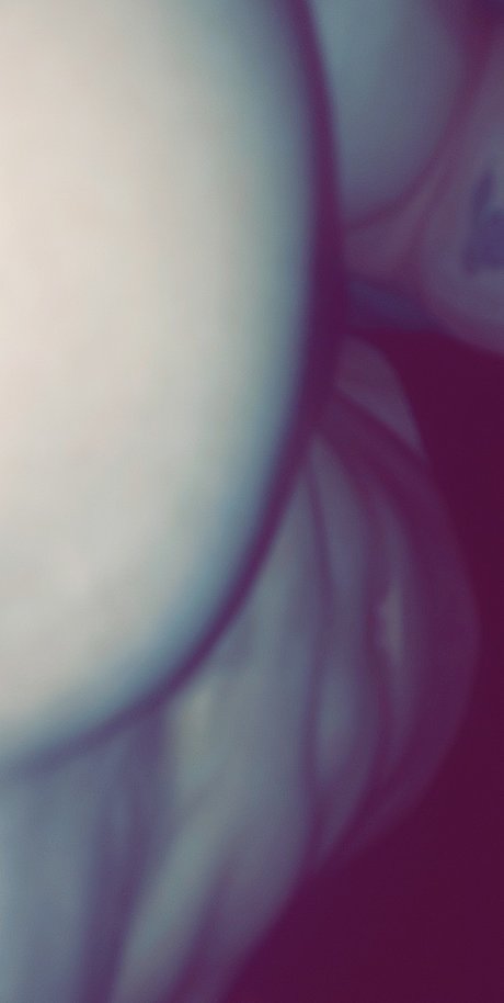 Alex Ban OnlyFans Brüste Bild