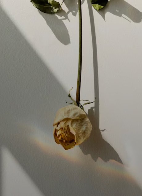 _Ally s Feet OnlyFans Strip