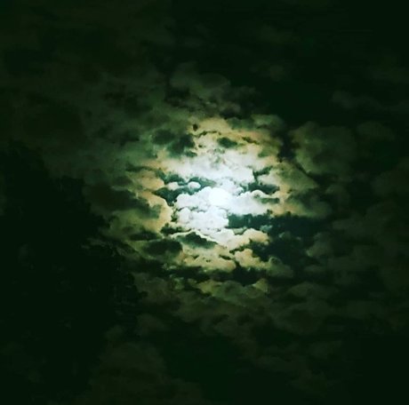 MelaninHellion OnlyFans gratis