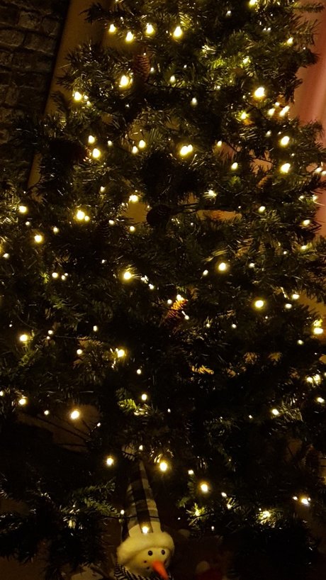 Alexandr Zolotov OnlyFans-Seite