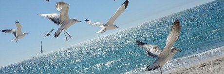 Aneth michel Nacktbilder von OnlyFans