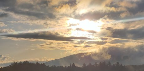 Adirondack Bear OnlyFans