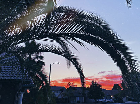 Newdsconnoisseurs OnlyFans-Pornoleak