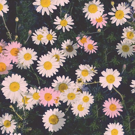 Ally Aimes_ OnlyFans-Post