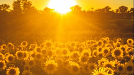 Oh Miya xxx_ Nacktbilder von OnlyFans