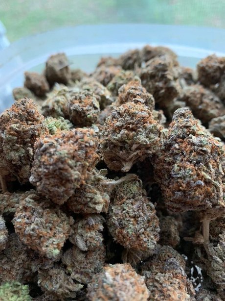 OgMack23 NurlyFans-Pornoleaks