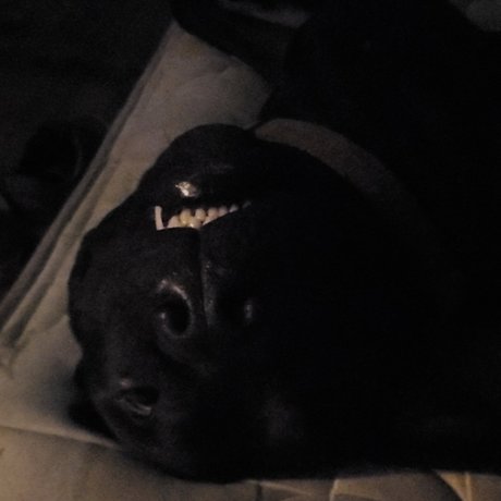 Gaven Füße OnlyFans