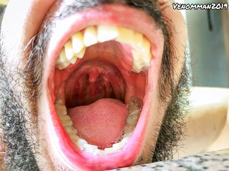 AlexanderVenom XXX OnlyFans