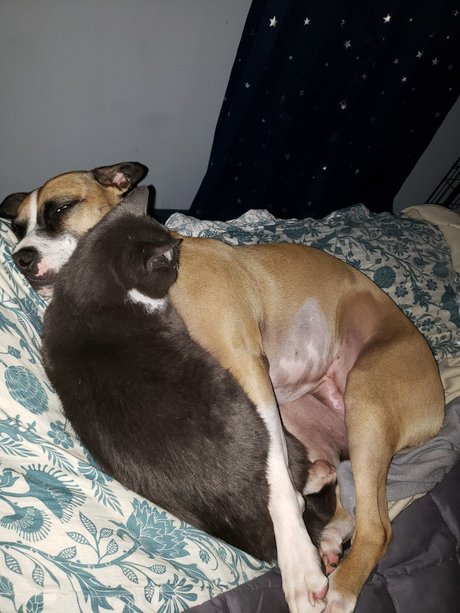 onlytabs Nacktbilder geleakt OnlyFans