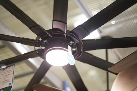 Austin Zeli OnlyFans Gratis Porn