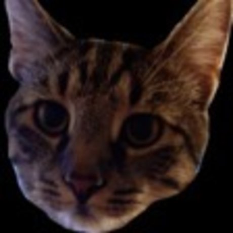 OnlyCats Nacktbilder von OnlyFans geleakt