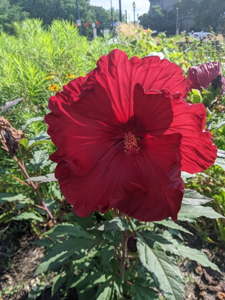 Mxs Nacktbilder OnlyFans geleakt