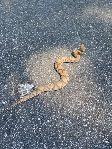 SlingBlade33 NurlyFans-Pornos