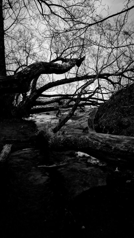 Faceless OnlyFans Sextape