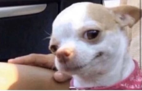 Orrion OnlyFans Gratis Porn