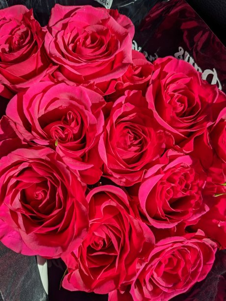 Alitalia Cass Nacktbilder geleakt OnlyFans geleakt