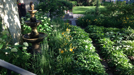 The Real Patriarch Smith OnlyFans