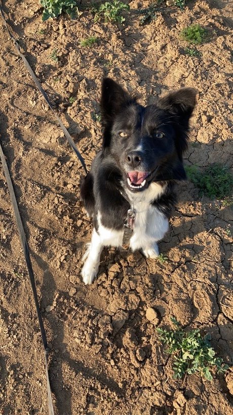 Andrejka OnlyFans Leaks Nacktbilder