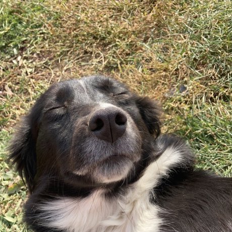 Andrejka Nacktbilder OnlyFans Leaks