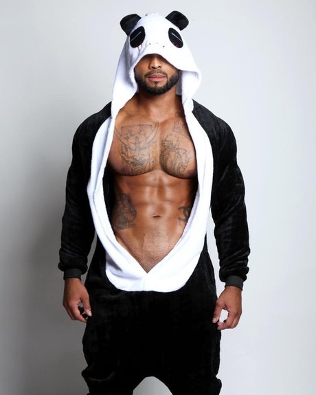 Panda Daddy OnlyFans Pornografie