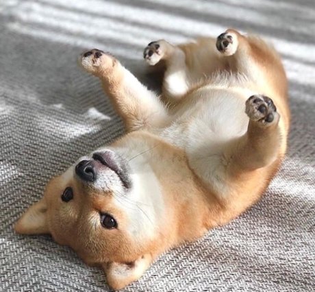 asherahsweetie_ Leaks von Nacktbildern auf OnlyFans