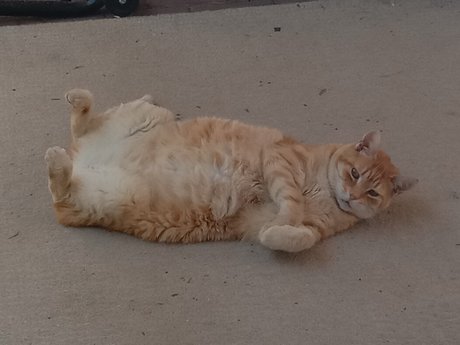 Domain8 photography OnlyFans Sextape