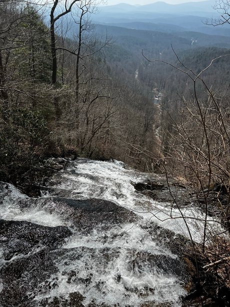 PeachStateBears OnlyFans-Leak