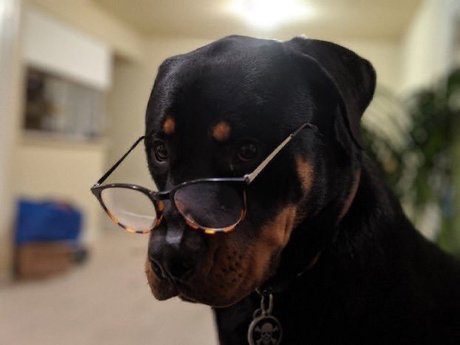 Daddy Sim_ OnlyFans-Leaks