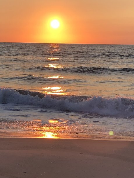 beach bum 102019 OnlyFans Inhalte