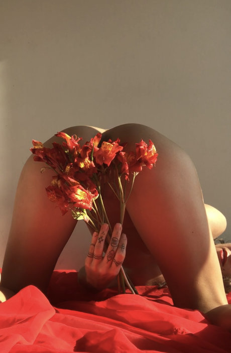 petitedelight OnlyFans öffentliche Fotos OnlyFans