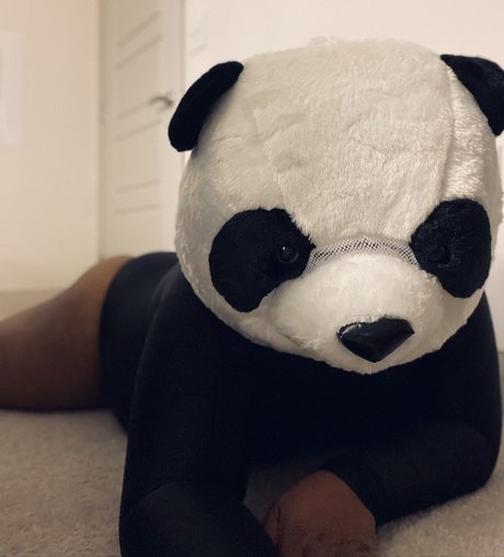 PlayBear OnlyFans Leak Pornografie