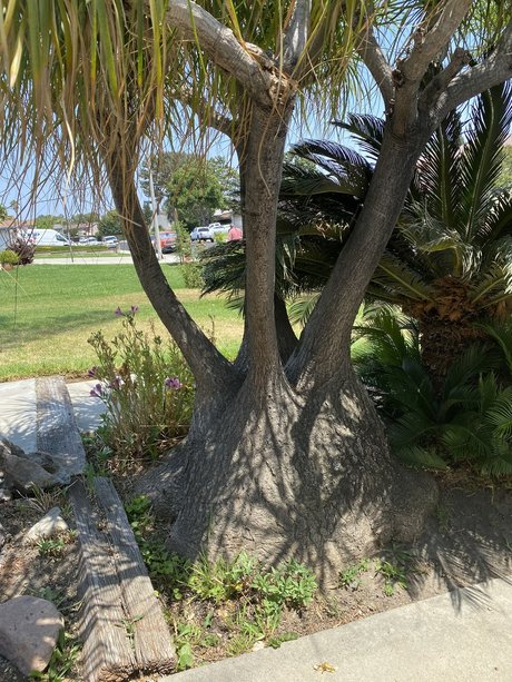 JDwilling Nacktbilder von OnlyFans geleakt