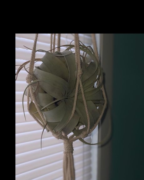 _Lauren XXX Leak OnlyFans