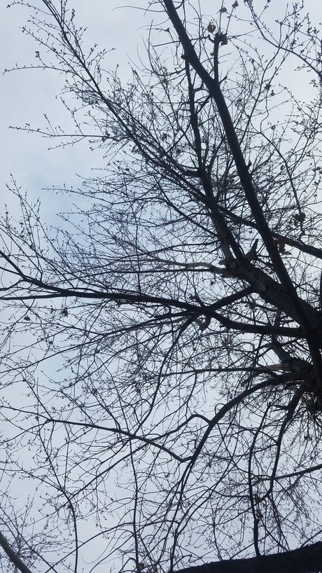 Daddy s Little Witch OnlyFans geleakt.