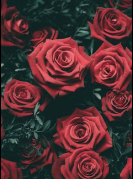 Monae Leigh Heiße OnlyFans Inhalte