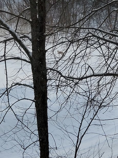 Couple6225 Nacktbilder von OnlyFans geleakt