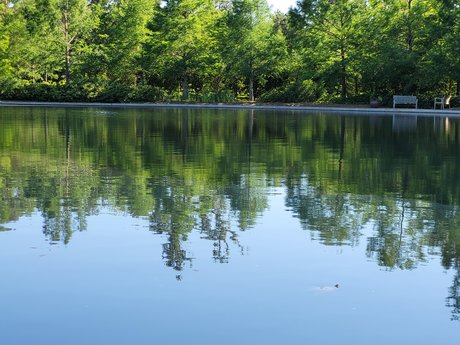 Por Amor Model OnlyFans Foto