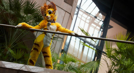 thatyellowkitty OnlyFans Striptease