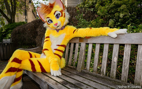 thatyellowkitty Nacktbilder OnlyFans geleakt